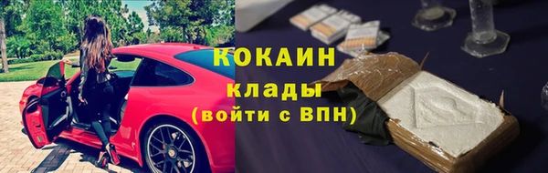 дживик Ельня