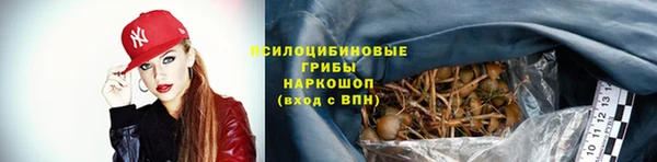гидра Алексин