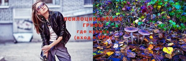 гидра Алексин