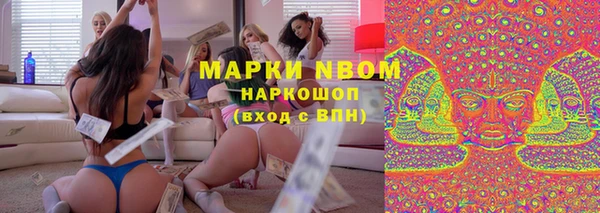гидра Алексин
